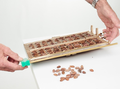 Magra Teserba Guillotinas para Cacao